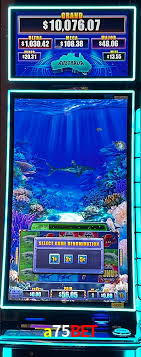 Apostas esportivas da a75bet com odds competitivas